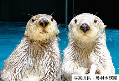 鳥羽水族館